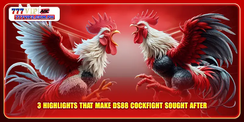 3 highlights that make DS88 cockfight sought after