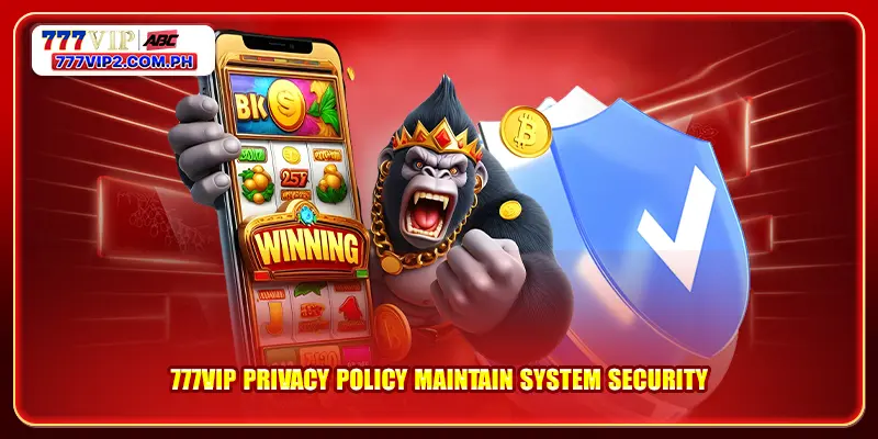 777VIP Privacy Policy maintain system security
