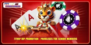 777VIP VIP Promotion - Privileges for Senior Members