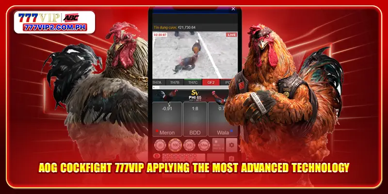 AOG Cockfight 777VIP applying the most advanced technology