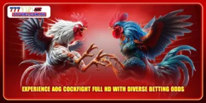 Experience AOG Cockfight Full HD with Diverse Betting Odds
