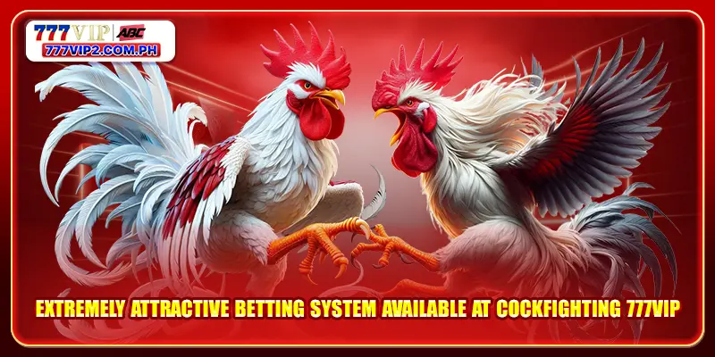 Extremely attractive betting system available at Cockfighting 777VIP